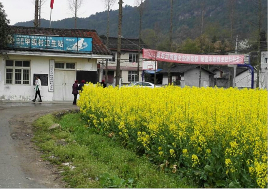 中医与民间基层相结合，已经成大势所趋