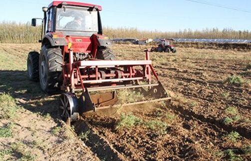 黄芪的种植时间